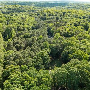 18-web-or-mls-DJI_20250506171303_0804_D