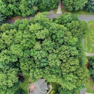 DJI_20250611132421_0441_D_2_D_3_D_4_D_5_