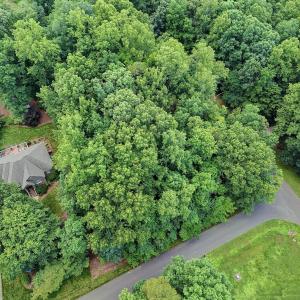 DJI_20250611132520_0446_D_47_D_48_D_49_D