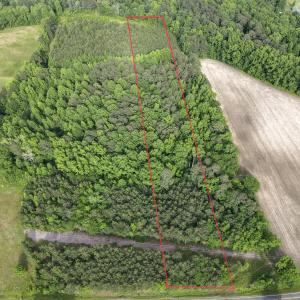 dji_fly_20250513_172756_580_174717169667