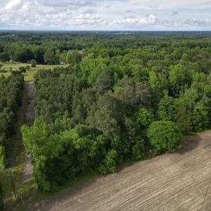dji_fly_20250513_173106_584_174717187676