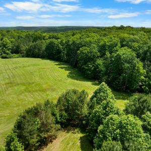 DJI_0059 (1)