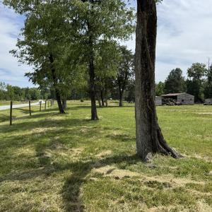 IMG_0741