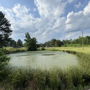 IMG_0640 5