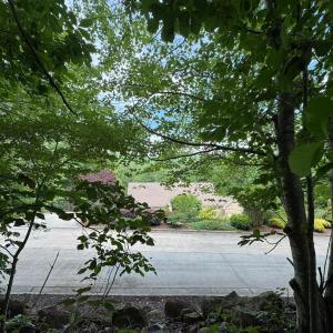 Screenshot 2025-05-15 at 8.28.49 AM