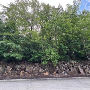 Screenshot 2025-05-15 at 8.28.36 AM