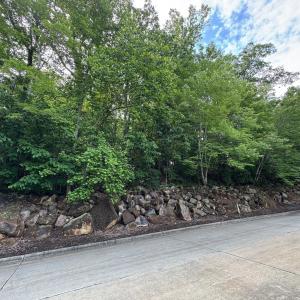 Screenshot 2025-05-15 at 8.28.24 AM