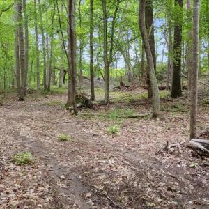 01-lot 8 buttonwood ln (14 of 16) - Copy