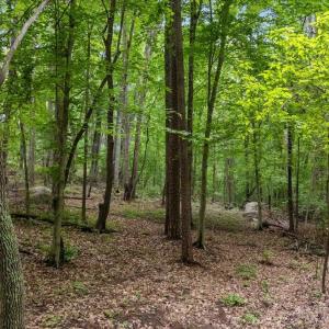02-lot 8 buttonwood ln (15 of 16) - Copy