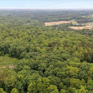 10-lot 8 buttonwood ln (6 of 16) - Copy