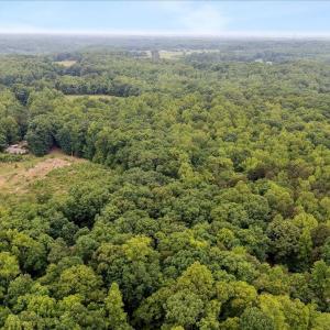 11-lot 8 buttonwood ln (7 of 16) - Copy