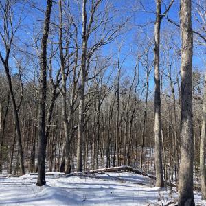 Lot 9 Snow 2