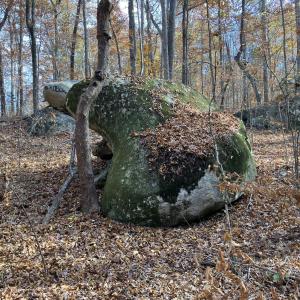 Lot 9 Rock