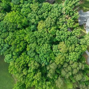 6-web-or-mls-untitled-85