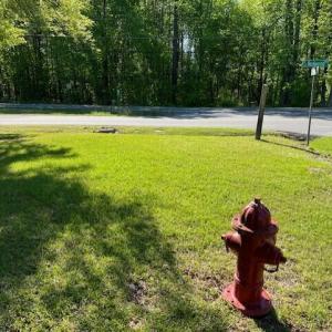Hydrant to the North on Ardsley