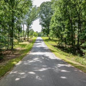 Road to Lot