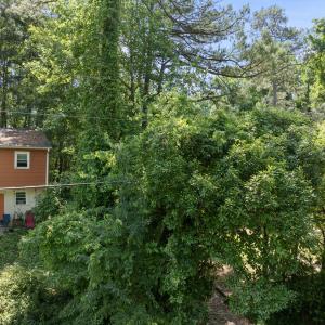 DJI_20250519110011_0003_D