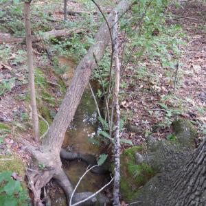DSCN3029