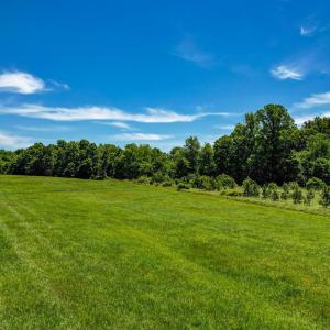 115 Washburn Lake Road-large-022-010-Fie