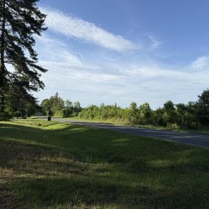 IMG_7687