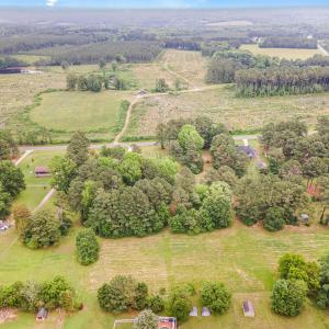 009_dji_0031-edit_650