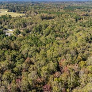 11-web-or-mls-DJI_0142-HDR