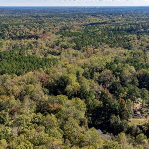 19-web-or-mls-DJI_0166-HDR