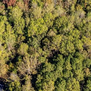 21-web-or-mls-DJI_0172-HDR