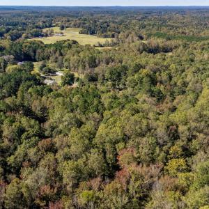 12-web-or-mls-DJI_0145-HDR