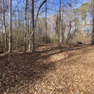 More land Picture