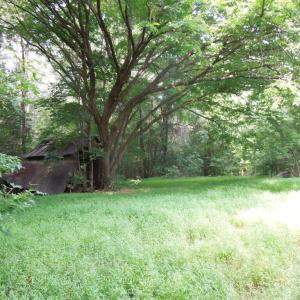 DSCN0024