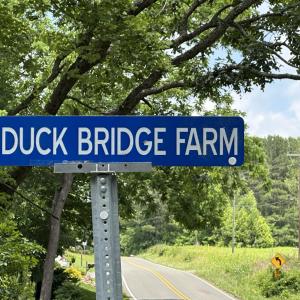 Duck Bridge Farm