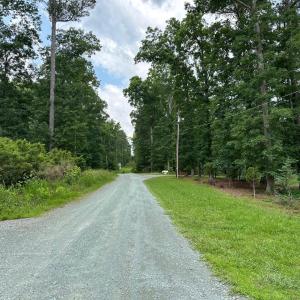 Road Into Lot