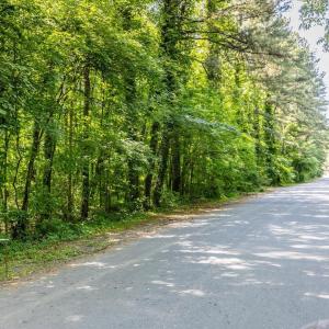 36-036-1614GreenbriarRd-Land-20250520