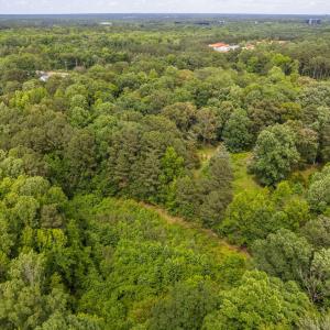 13-web-or-mls-917-reedy-creek-rd