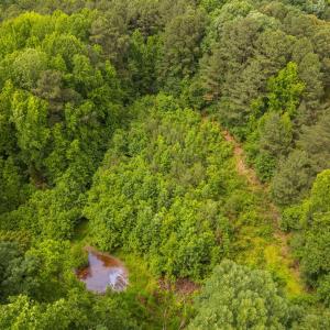 14-web-or-mls-917-reedy-creek-rd