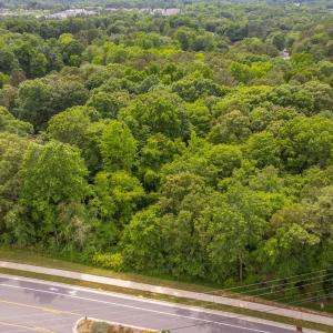 17-web-or-mls-917-reedy-creek-rd