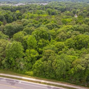 18-web-or-mls-917-reedy-creek-rd