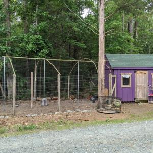 MVIMG_20200610_114054