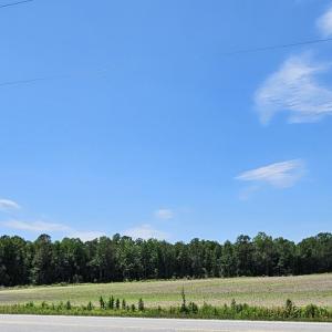 IMG_20250531_131146