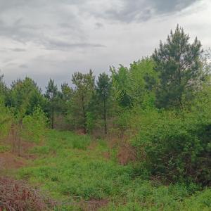 Rivers Edge access