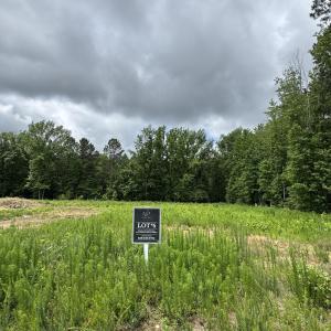 Lot 6