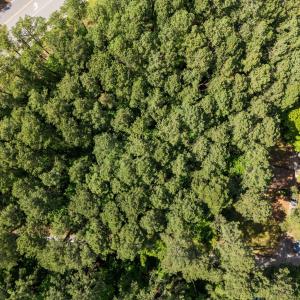 1-web-or-mls-DJI_20250523160616_0068_D