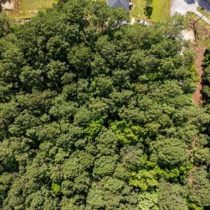 11-web-or-mls-DJI_20250523160147_0056_D