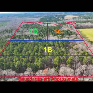 TurkeyBuzzardLn-Lots-1B-1C-1D