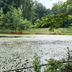 Millbrook Cir_4A_0475