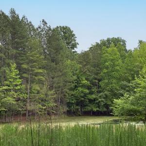 Millbrook Cir_4A_0479