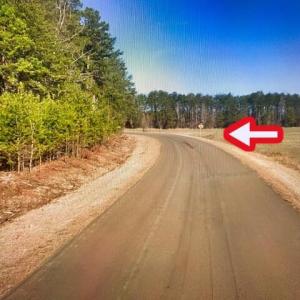 Terrell School Rd Road view