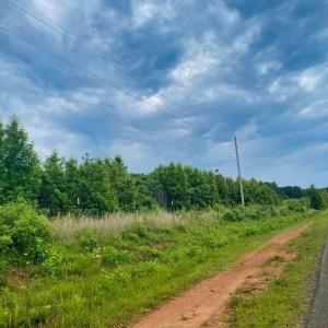 Terrell School Rd