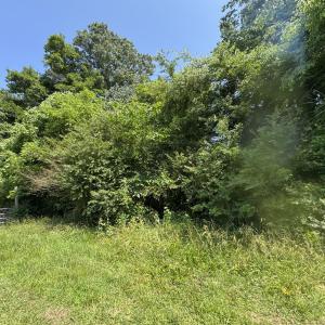 Easement area by adjoining parcel 75425